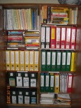 Photo_1