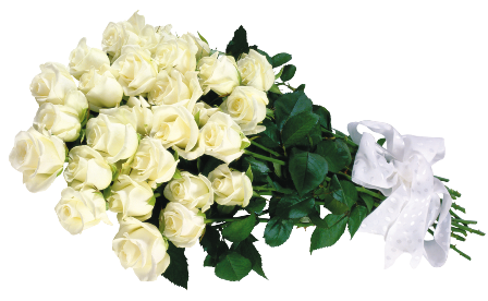 flower 067