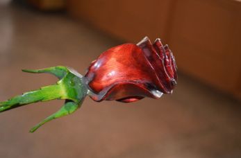 DSC 0132