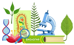 биология