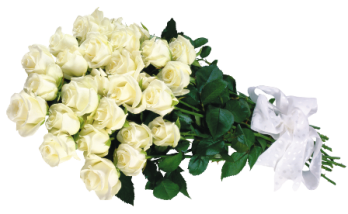 flower 067